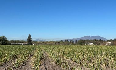 Se vende terreno en Tala sobre carretera