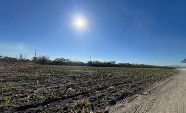 Se vende terreno en Tala sobre carretera