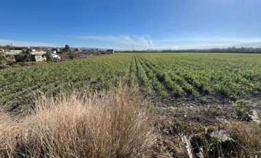 Se vende terreno en Tala sobre carretera