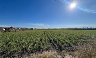 Se vende terreno en Tala sobre carretera