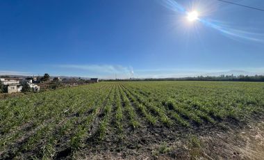 Se vende terreno en Tala sobre carretera