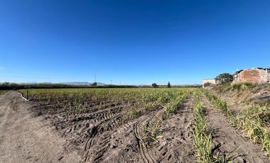Se vende terreno en Tala sobre carretera