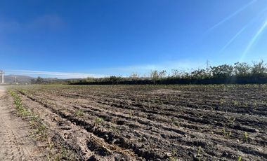 Se vende terreno en Tala sobre carretera