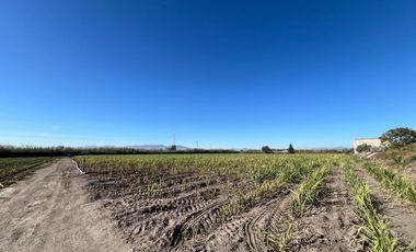 Se vende terreno en Tala sobre carretera