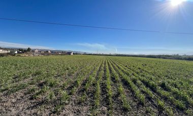 Se vende terreno en Tala sobre carretera