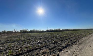 Se vende terreno en Tala sobre carretera
