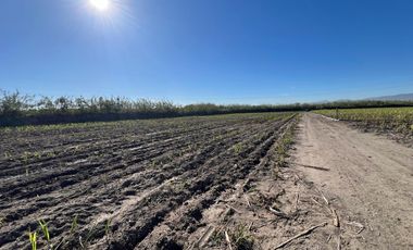 Se vende terreno en Tala sobre carretera