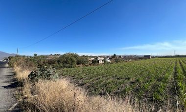 Se vende terreno en Tala sobre carretera