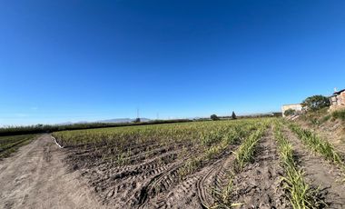 Se vende terreno en Tala sobre carretera