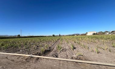 Se vende terreno en Tala sobre carretera