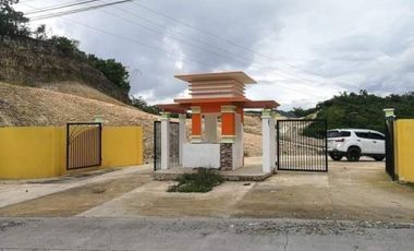 OVERLOOKING LOT FOR SALE IN CONSOLACION CEBU