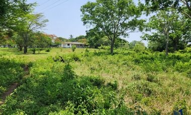 RANCHO DE 80 HECTAREAS EN VENTA EN ALTO LUCERO I ARLETTE FLORES INMOBILIARIA
