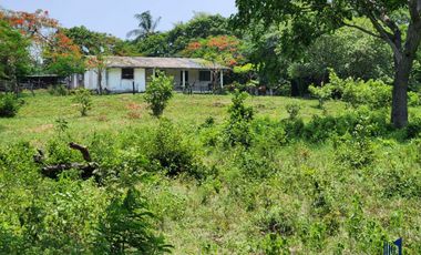 RANCHO DE 80 HECTAREAS EN VENTA EN ALTO LUCERO I ARLETTE FLORES INMOBILIARIA