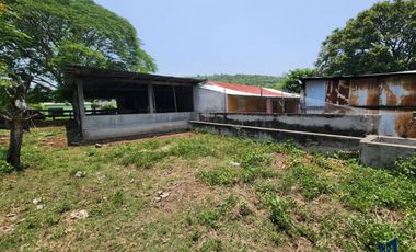 RANCHO DE 80 HECTAREAS EN VENTA EN ALTO LUCERO I ARLETTE FLORES INMOBILIARIA