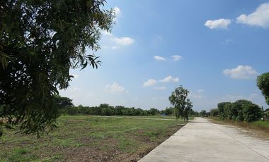 Building plots for sale in Saraphi