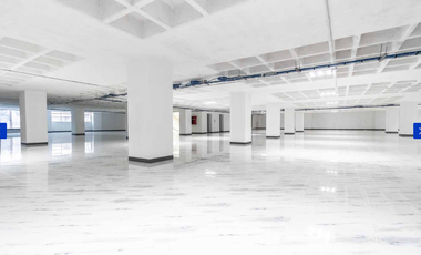OFICINA- EDIFICIO EN RENTA, 20 DE NOVIEMBRE.