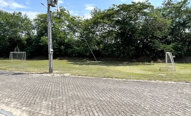 HERMOSA FINCA PARA ALQUILAR MI RETOÑO3174103363