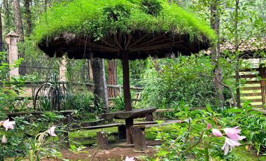 Terreno Venta Mazamitla Los Cazos