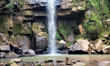 Terreno Venta Mazamitla Los Cazos