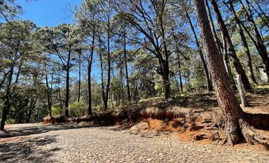 Terreno Venta Mazamitla Los Cazos
