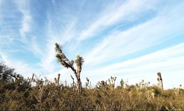 VENTA CASAS PROYECTO GALEANA  DOCTOR ARROYO
