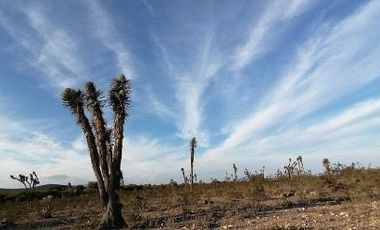 VENTA CASAS PROYECTO GALEANA  DOCTOR ARROYO