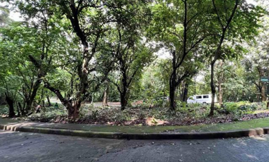 LOT FOR SALE IN TOWN AND COUNTRY ESTATES ANTIPOLO CITY RIZAL
