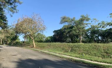 East Facing Corner Lot For Sale in Ayala Westgrove Heights Near BGC And Makati City