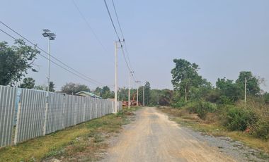 Selling farms in the area Purple can build a factory near Wang ma noue Petburi