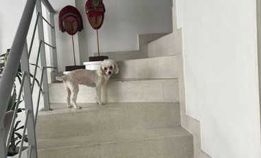 VENTA CASA LOS PATIOS  CONJUNTO