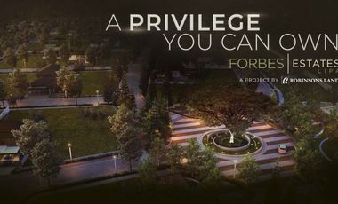 Lot For Sale in a Luxurious Forbes Estates Lipa in Lipa Batangas