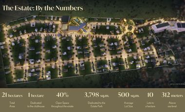 Lot For Sale in a Luxurious Forbes Estates Lipa in Lipa Batangas