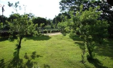 Farm/Agricultural Lot For Sale in Mendez Cavite. Near Tagaytay