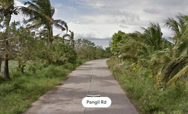 LOT FOR LEASE ALONG CONCHU-PANGIL ROAD GOING TO AMADEO-TAGAYTAY ROAD AND GOVERNOR'S DRIVE HIGHWAY