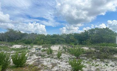 TERRENO EN VENTA EN LA PLAYA EN CELESTÚN, un verdadero paraíso en Yucatán