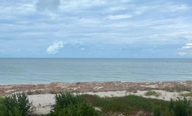 TERRENO EN VENTA EN LA PLAYA EN CELESTÚN, un verdadero paraíso en Yucatán