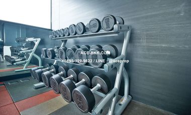 28 CHIDLOM For Sale or Rent 1 Bed Condo BTS CHITLOM