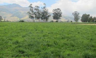 Machachi Hacienda de Venta