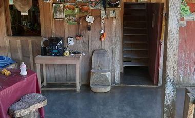 Venta Finca Ganadera y Agrícola Amalfi Antioquia