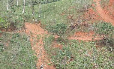 Venta Finca Ganadera y Agrícola Amalfi Antioquia