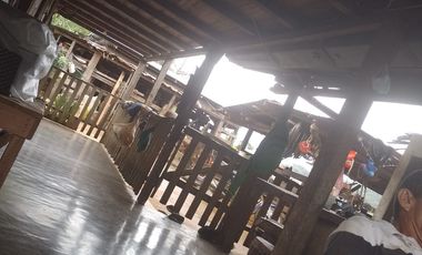 Venta Finca Ganadera y Agrícola Amalfi Antioquia