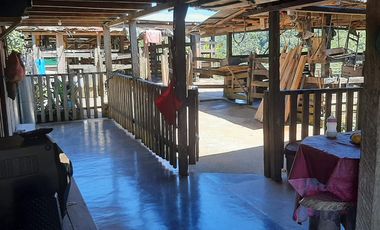 Venta Finca Ganadera y Agrícola Amalfi Antioquia