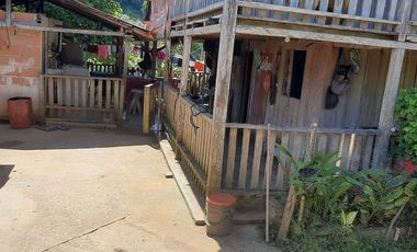 Venta Finca Ganadera y Agrícola Amalfi Antioquia