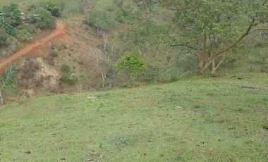 Venta Finca Ganadera y Agrícola Amalfi Antioquia