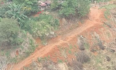 Venta Finca Ganadera y Agrícola Amalfi Antioquia