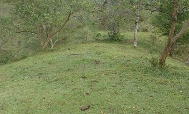 Venta Finca Ganadera y Agrícola Amalfi Antioquia