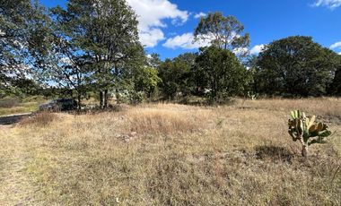 OPORTUNIDAD TERRENO EN VENTA HARAS LA JOYA