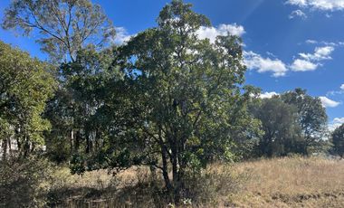 OPORTUNIDAD TERRENO EN VENTA HARAS LA JOYA