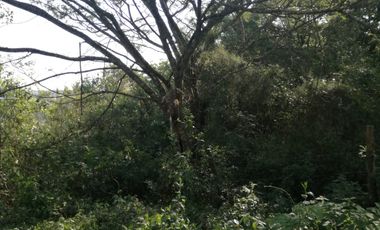 Venta de Terreno en Seminario Mayor, Xalapa, Veracruz