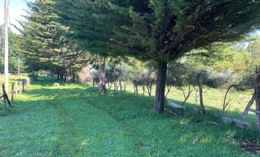 Terreno Camino Valdivia-mafil
